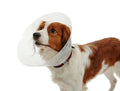 BUSTER clic collar 30 cm ( piece )