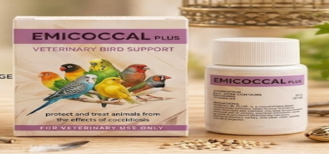 PetsBox | EMICOCCAL PLUS