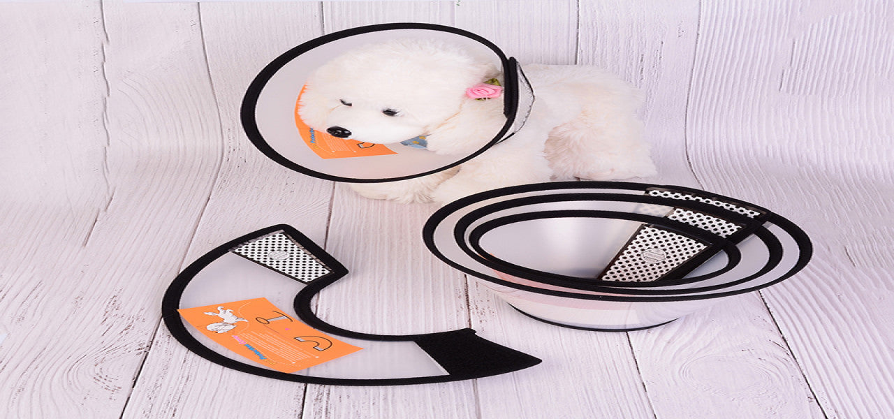 Pet Protective collars