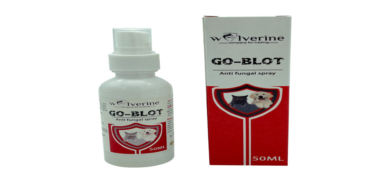 Go Blot Antifungal Spray