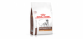 Royal Canin | Dog Gastrointestinal Low Fat Dry Food