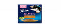 FELIX (KITTEN) - with chicken