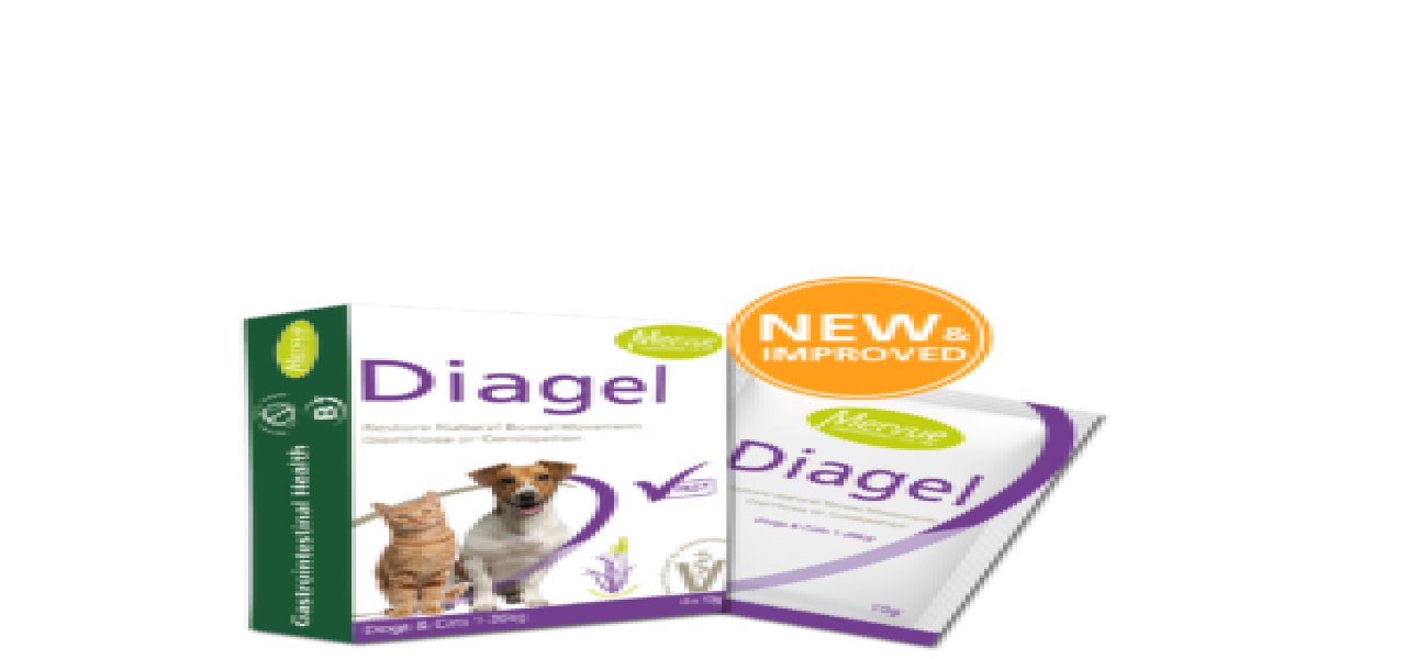DIAGEL