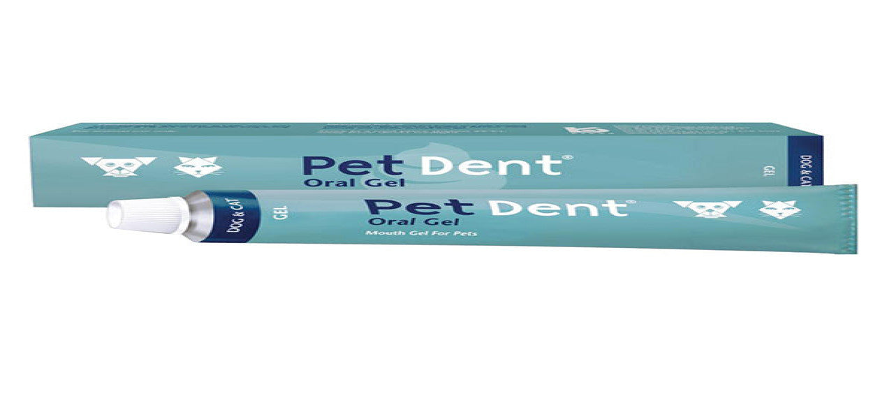 PET DENT Oral Gel