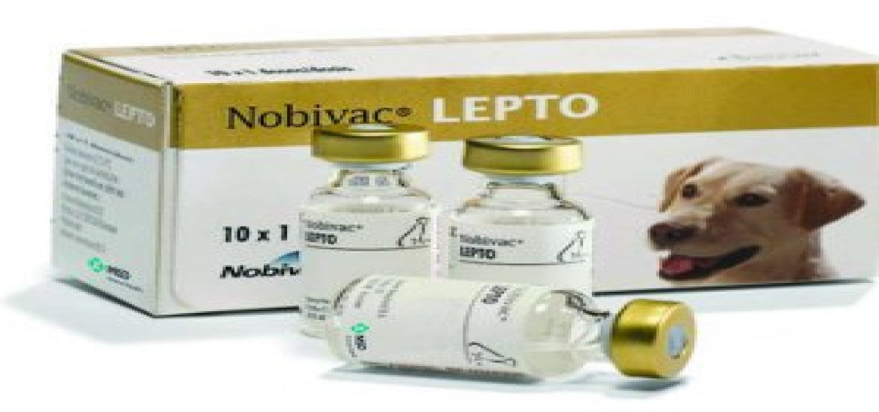 NOBIVAC LEPTO