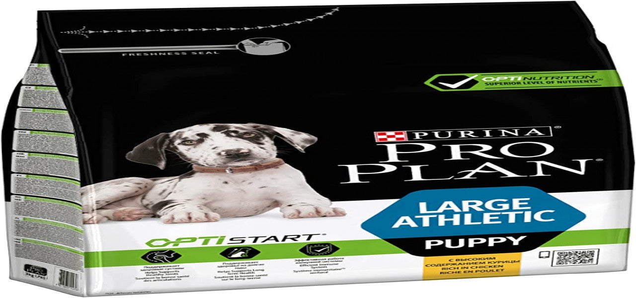 PUPPIES - Large Athletic Puppy Rich in Chicken