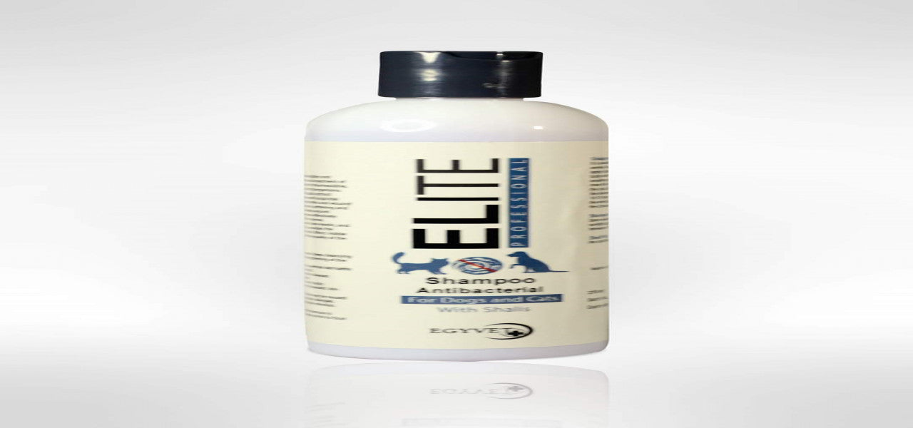 ELITE Professional Antibacterial Shampoo