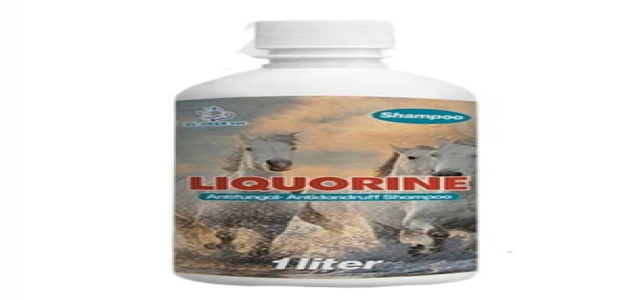 Liquorine Shampoo For Horses