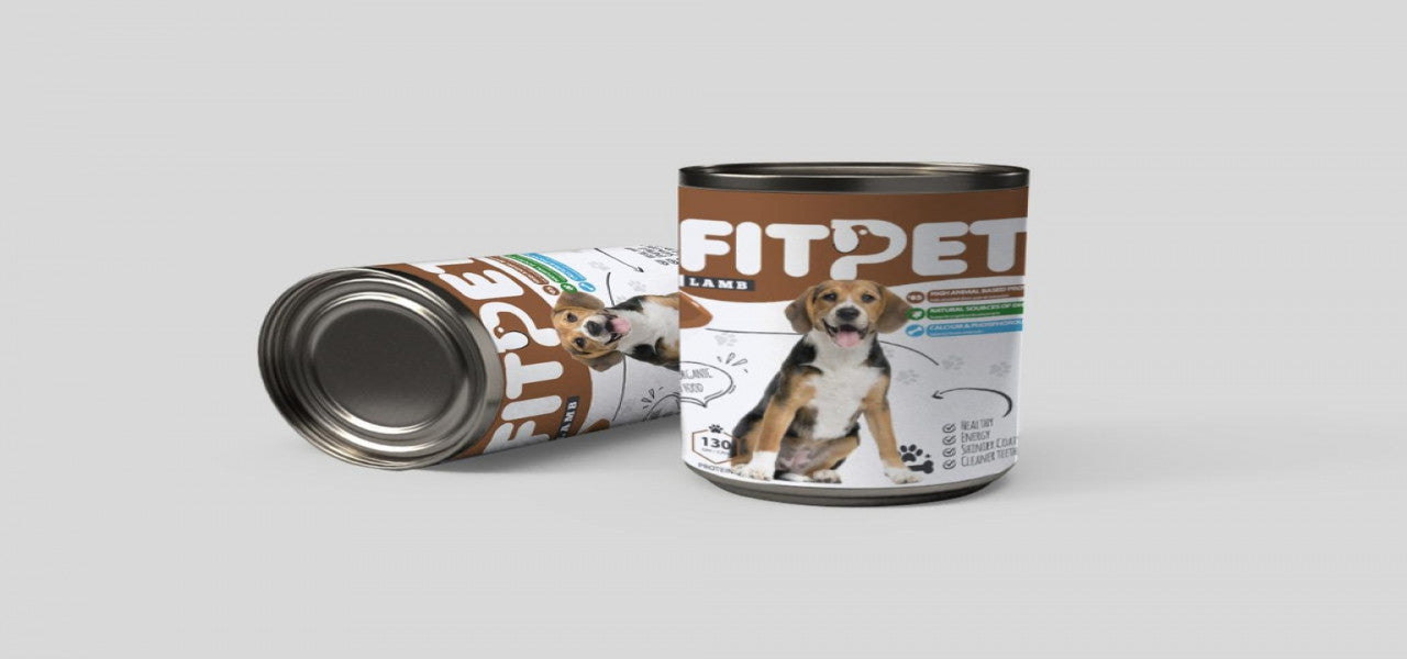 FITPET Canine Organic Pet Food | 400 gm