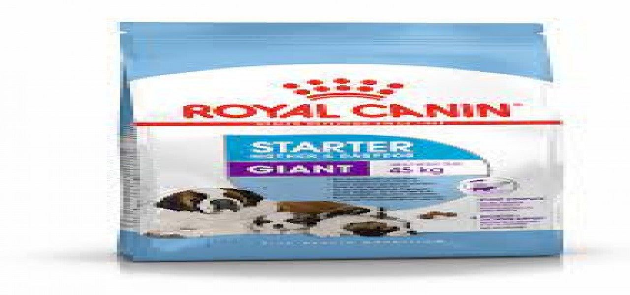 GIANT STARTER M&B