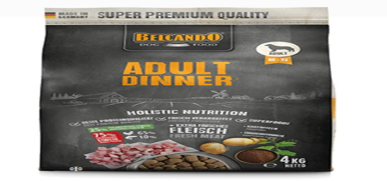 Adult dinner dog