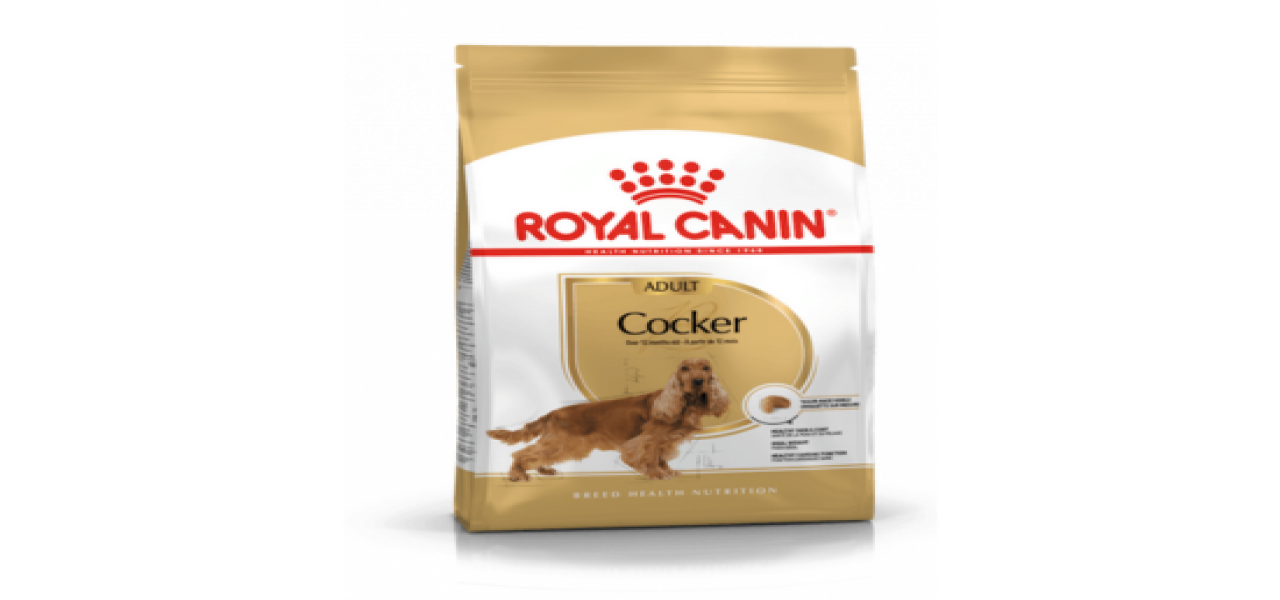 Royal Canin | Coocker Adult Dry Food