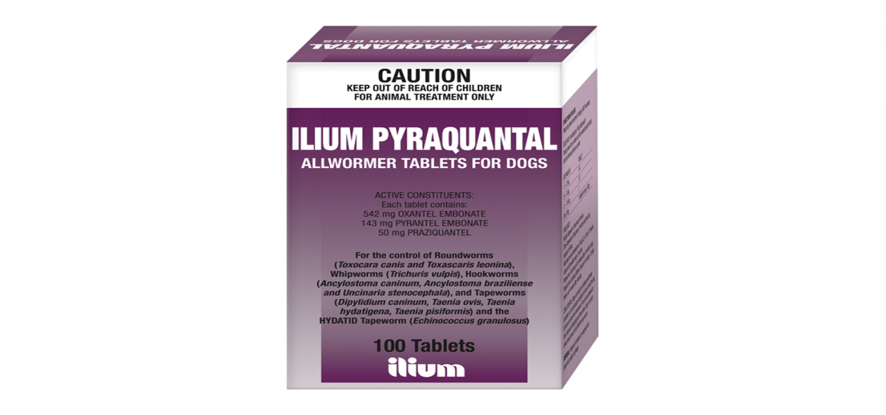 ILIUM Pyraquantal Allwormer