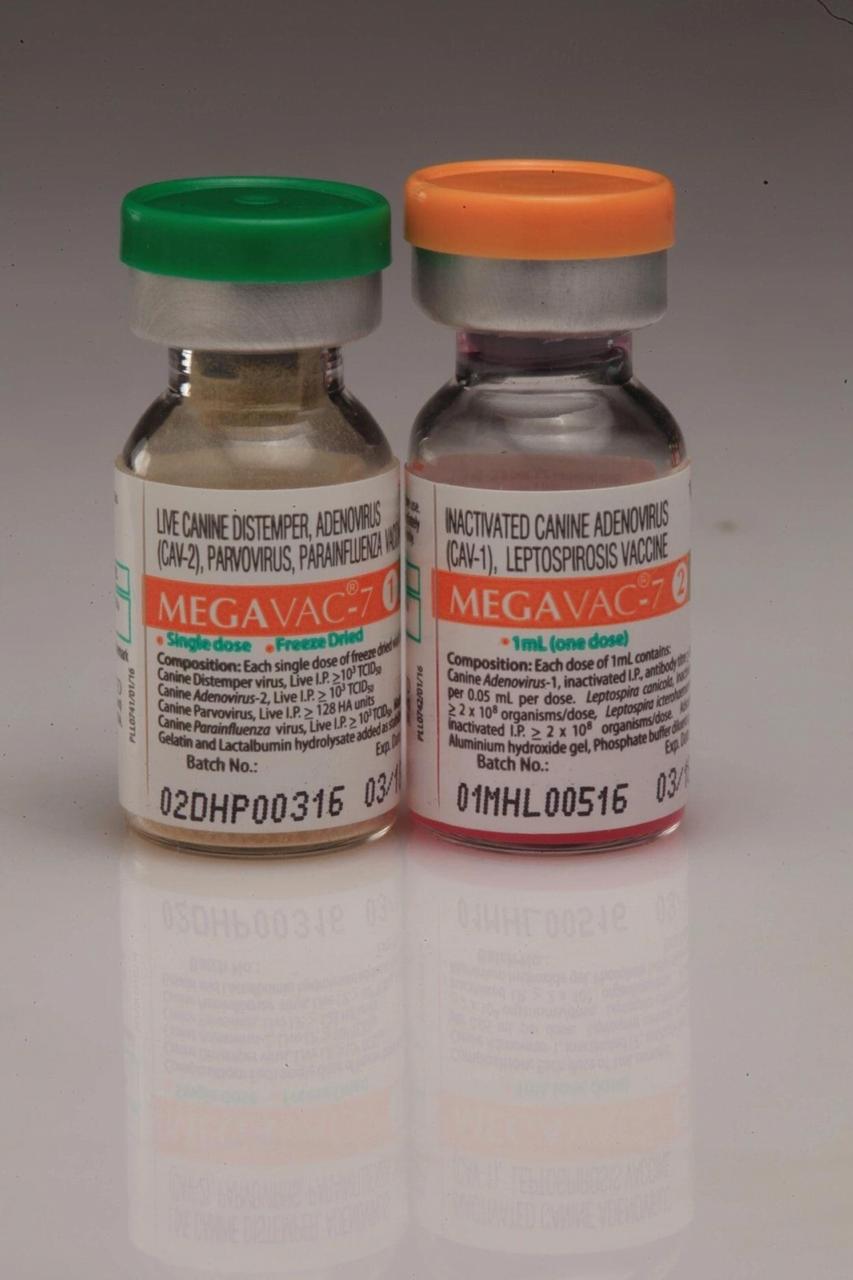 Megavac-7