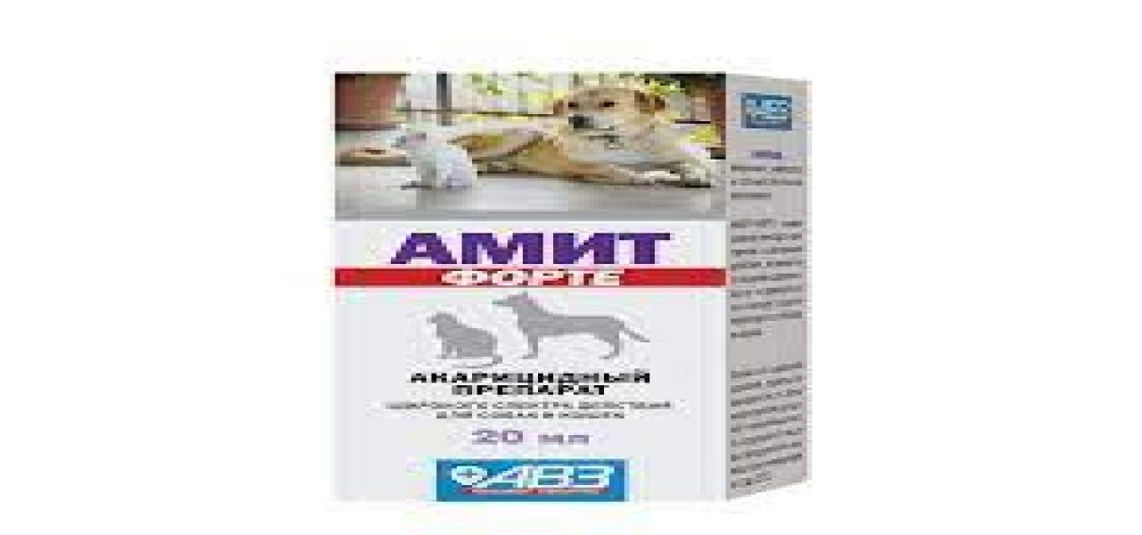 Amit Forte ticks & mange