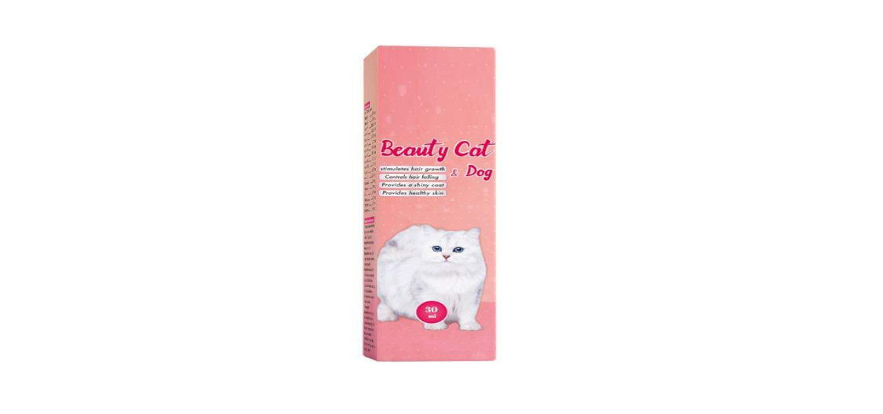 Beauty Cat & Dog