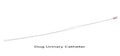 RWD | Disposable Dog Urinary Catheter | 1 piece