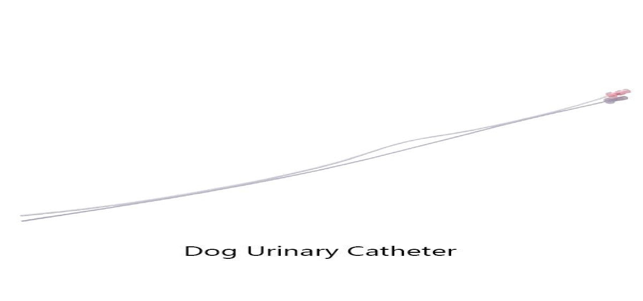 RWD | Disposable Dog Urinary Catheter | 1 piece