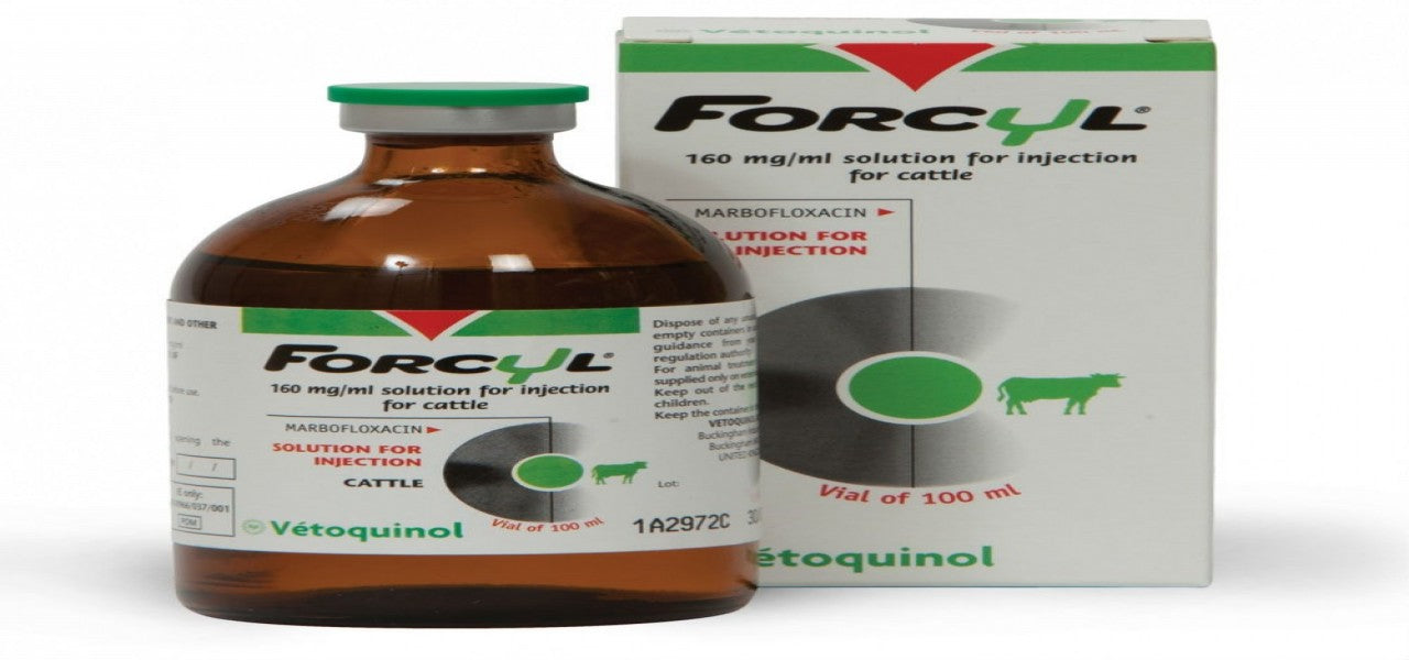 Forcyl