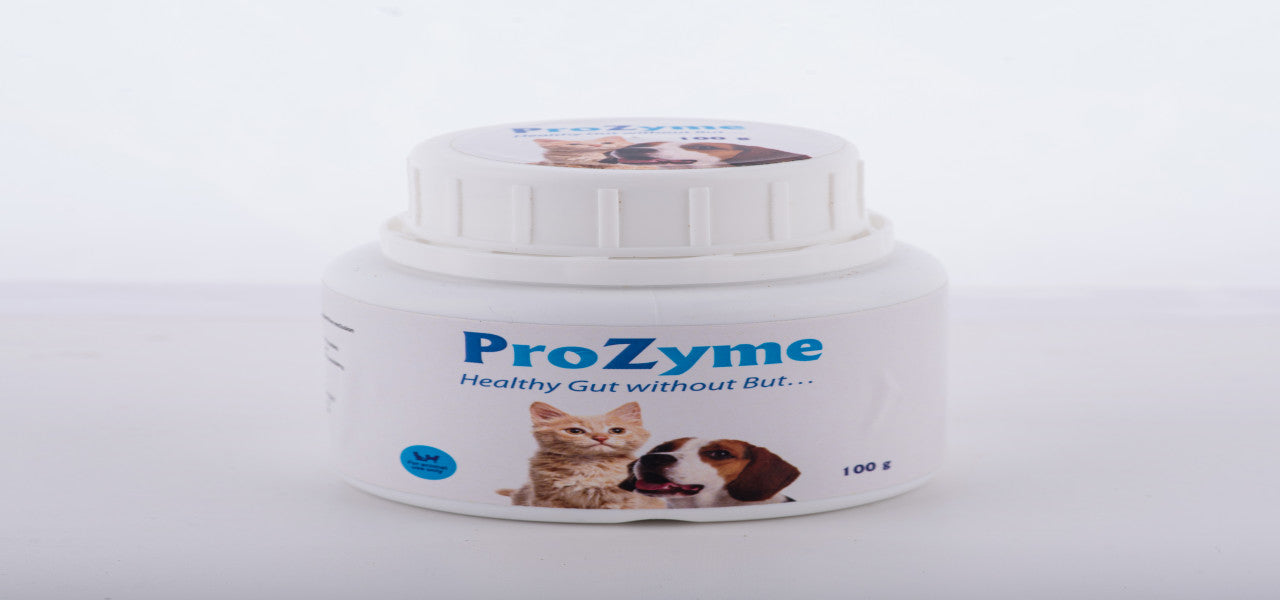 ProZyme