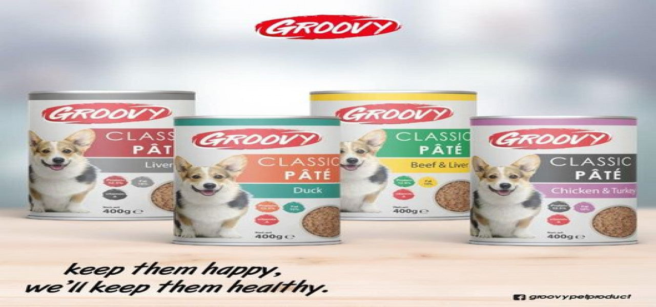 GROOVY | Canine Classic Pate | 400 gm