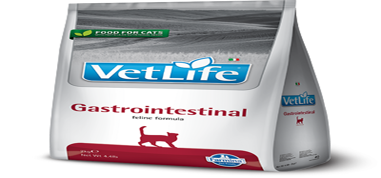 Farmina VetLife Cat	Gastrointestinal