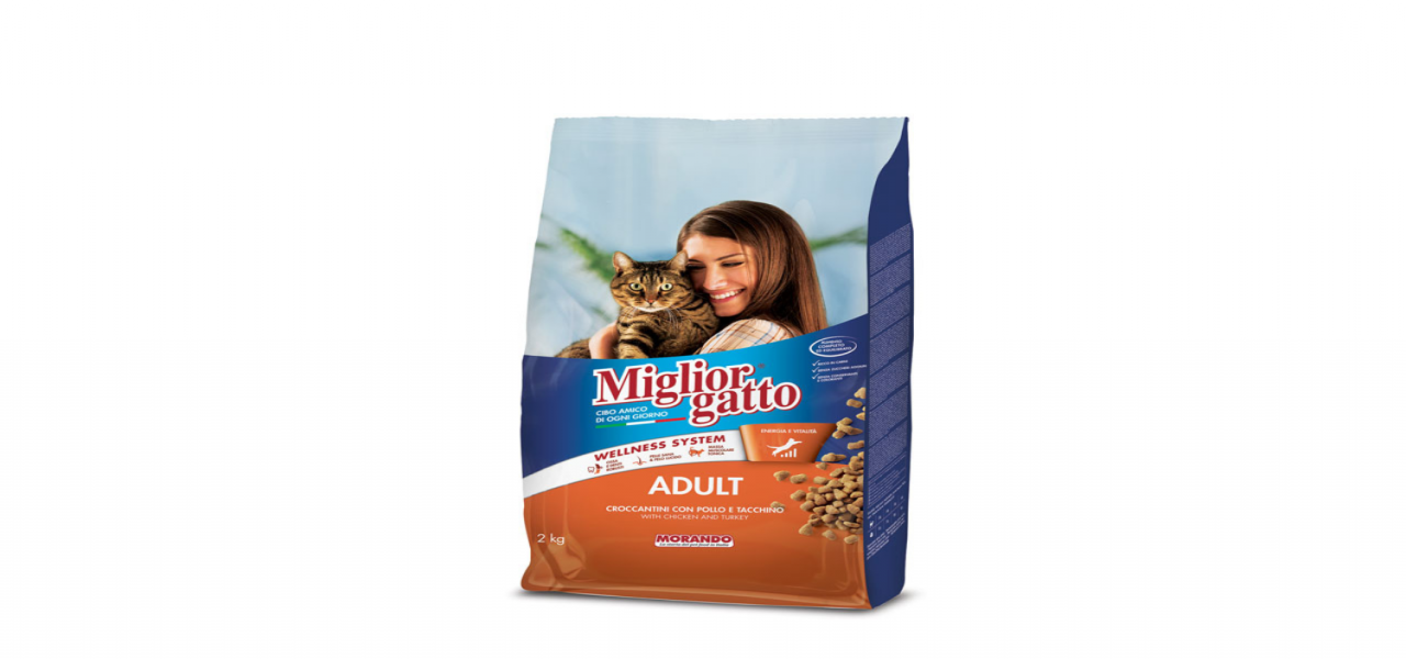 Miglior gatto Cat dry food 2 kg