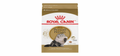 ROYAL CANIN | Feline Breed Nutrition Persian Adult