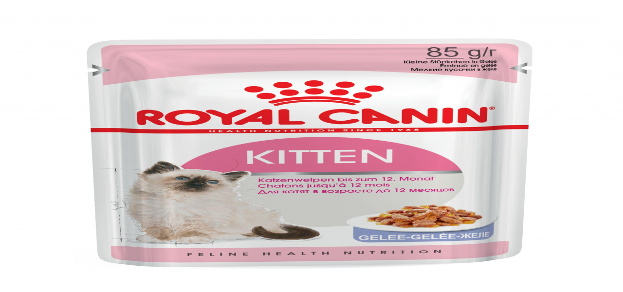 KITTEN INSTINCTIVE (IN JELLY)