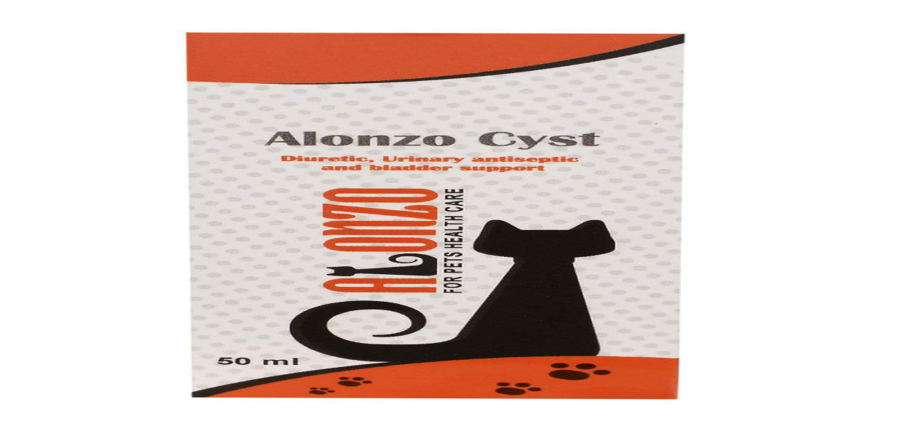 CYST - Urinary Antiseptic
