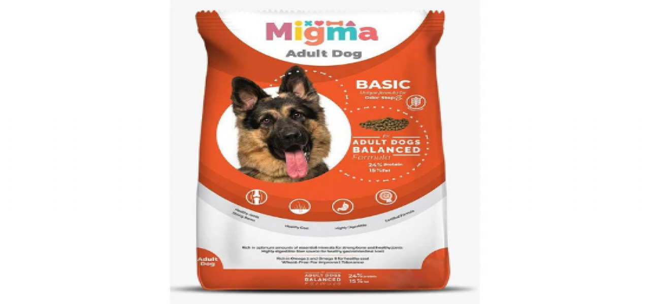 MIGMA | Adult Dog
