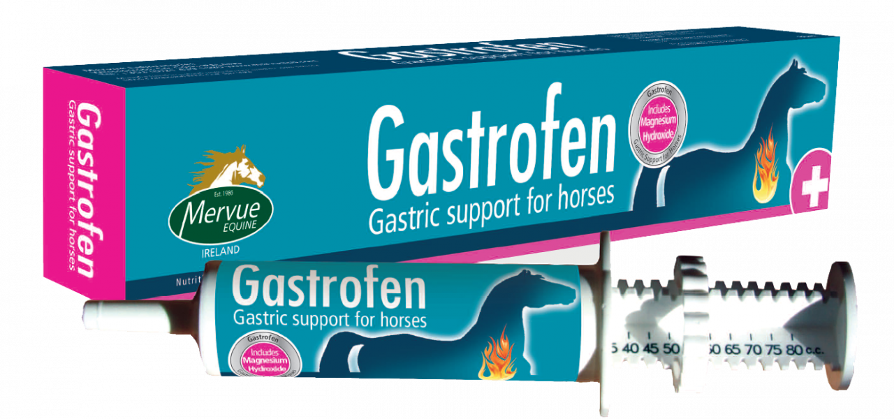 GASTROFENN