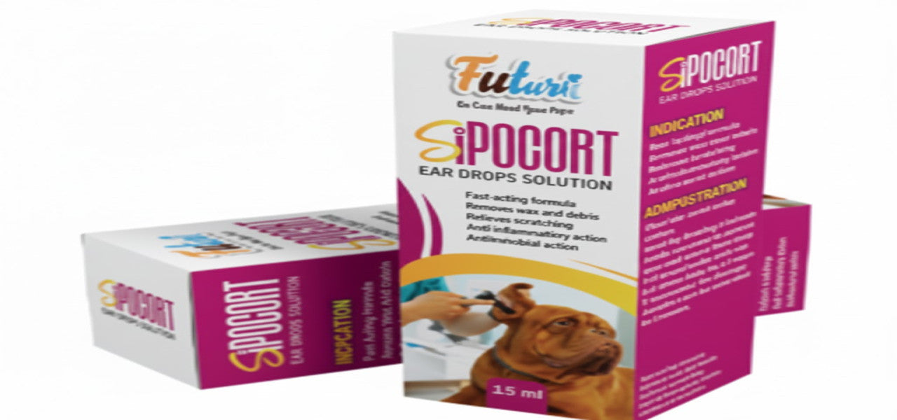 Future | Sipocort Ear Drops