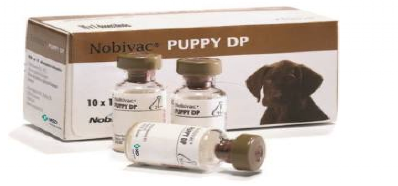 NOBIVAC PUPPY DP