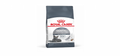 ROYAL CANIN DENTAL CARE Cat dry food
