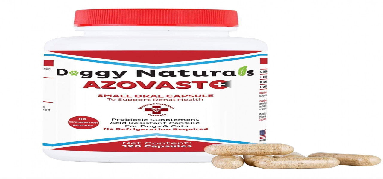 Azovast Plus Capsules