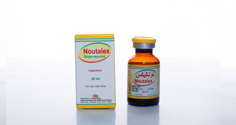 NOUTALEX