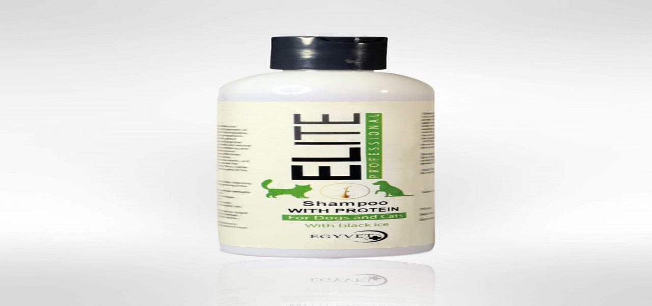 ELITE Professional Shampoo with Protein