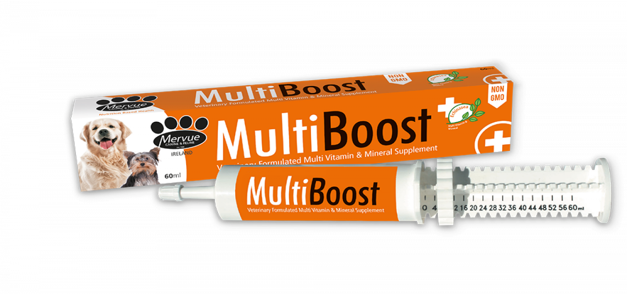 MultiBoost | Dog