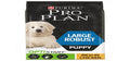 PUPPIES - Large Robust Puppy Rich in Chicken