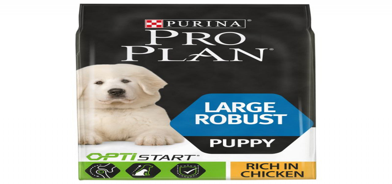 PUPPIES - Large Robust Puppy Rich in Chicken
