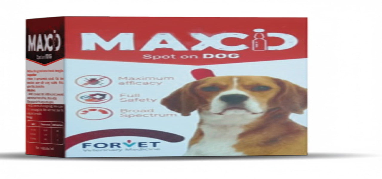 Forvet Maxcid Spot On 4 Ampules
