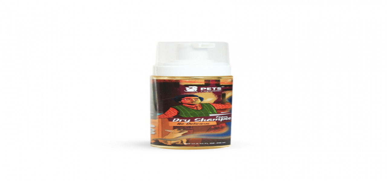 FOAM DRY SHAMPOO | 250 ml