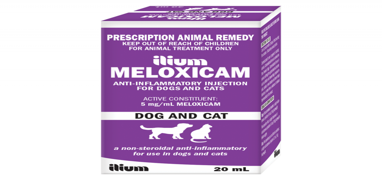 ilium Meloxicam 5 Injection