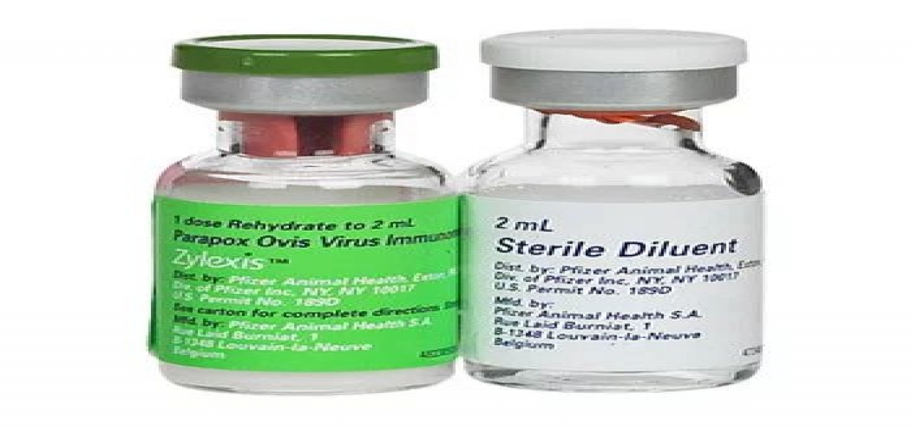 Zylexis 2ml