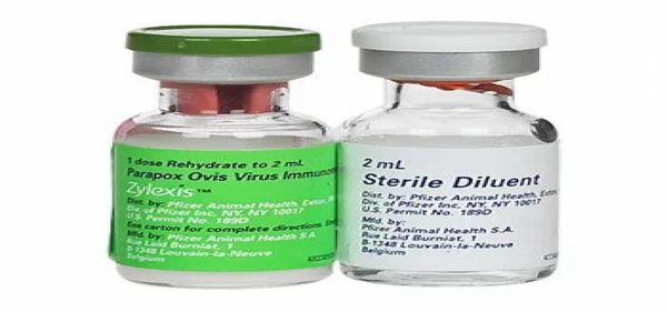 Zylexis 2ml — 2 ml product image