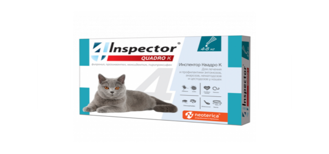 INSPECTOR spot on Cats
