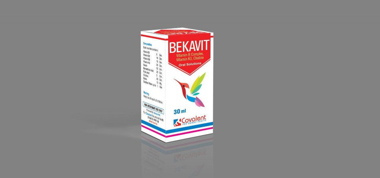Beka Vit