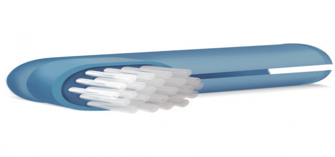 Pet Dent Finger Brush