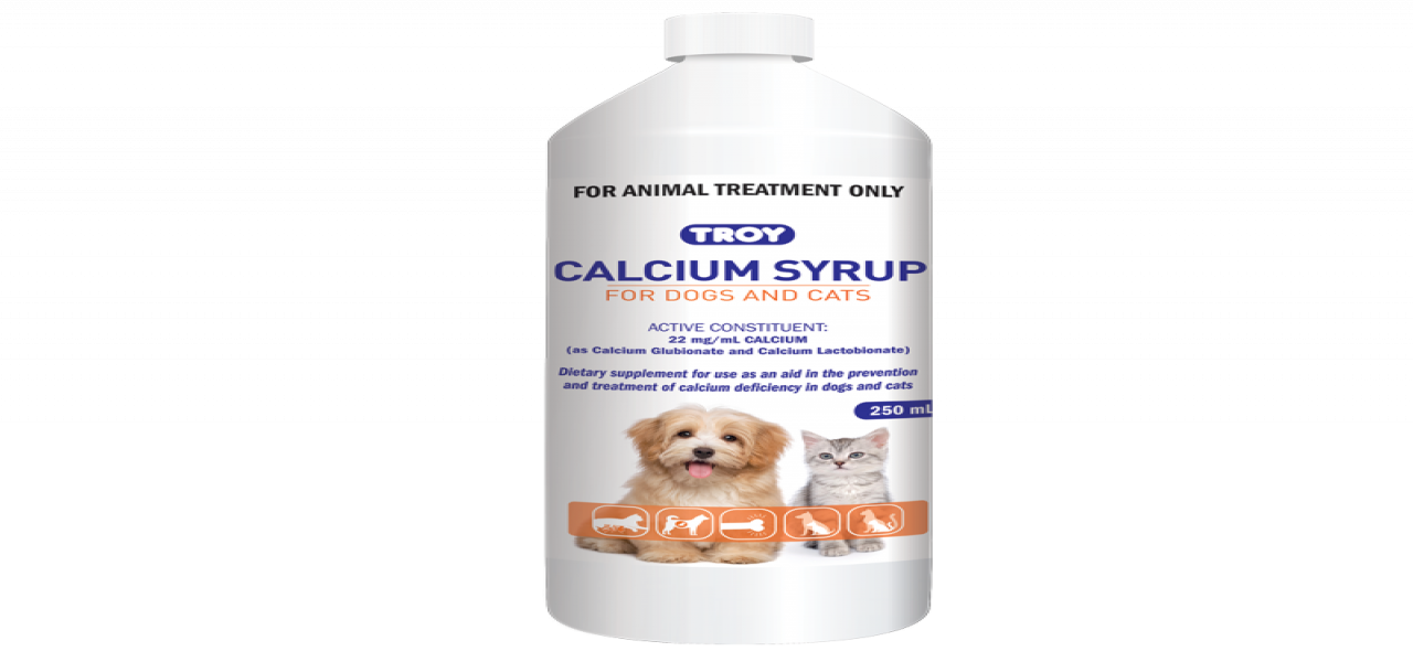 Troy Calcium Syrup